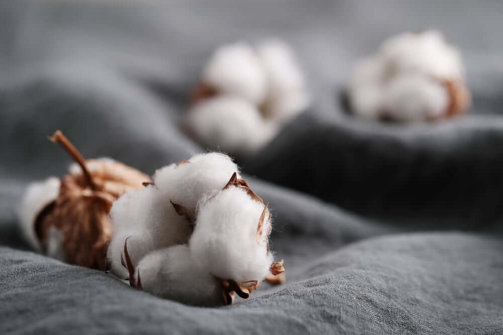 jenis bahan kaos polos combed 30s dari 100 serat Cotton atau kapas