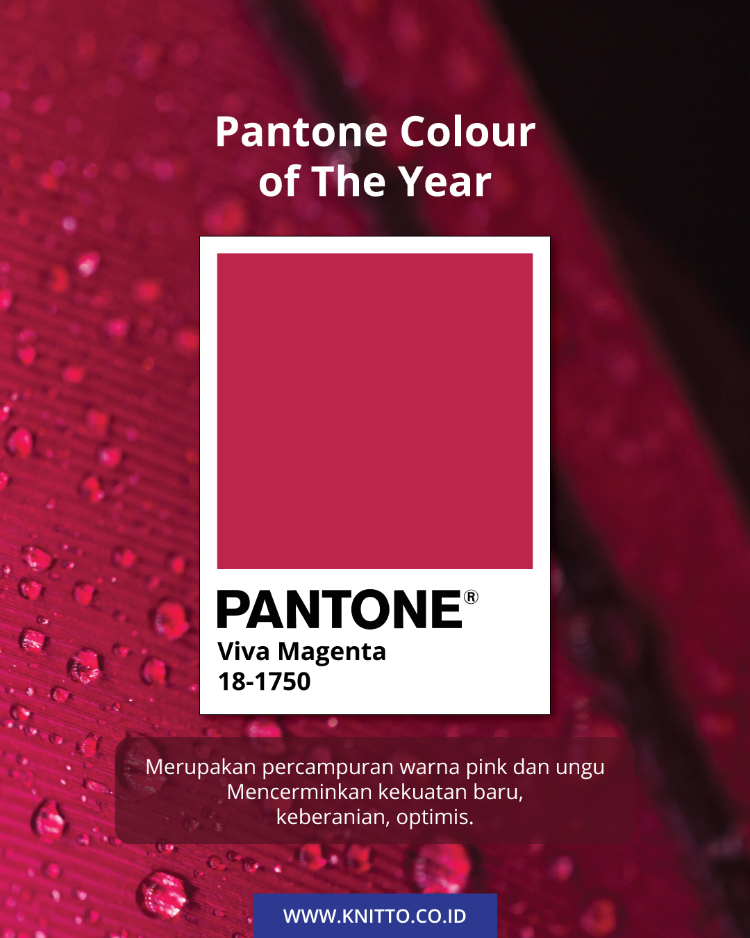 Warna Pantone 2023 2