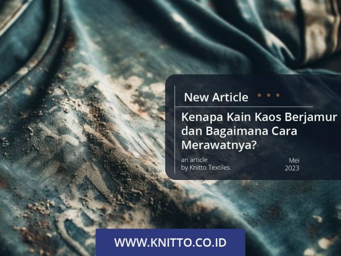 Kenapa Kain Kaos Berjamur dan Bagaimana Cara Merawatnya