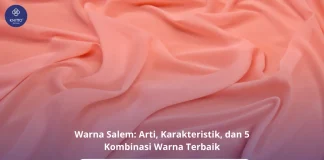 Warna Salem Seperti Apa? Ini Arti, Karakteristik & 5 Perpaduan Warnanya! Mix and Match Warna Salem