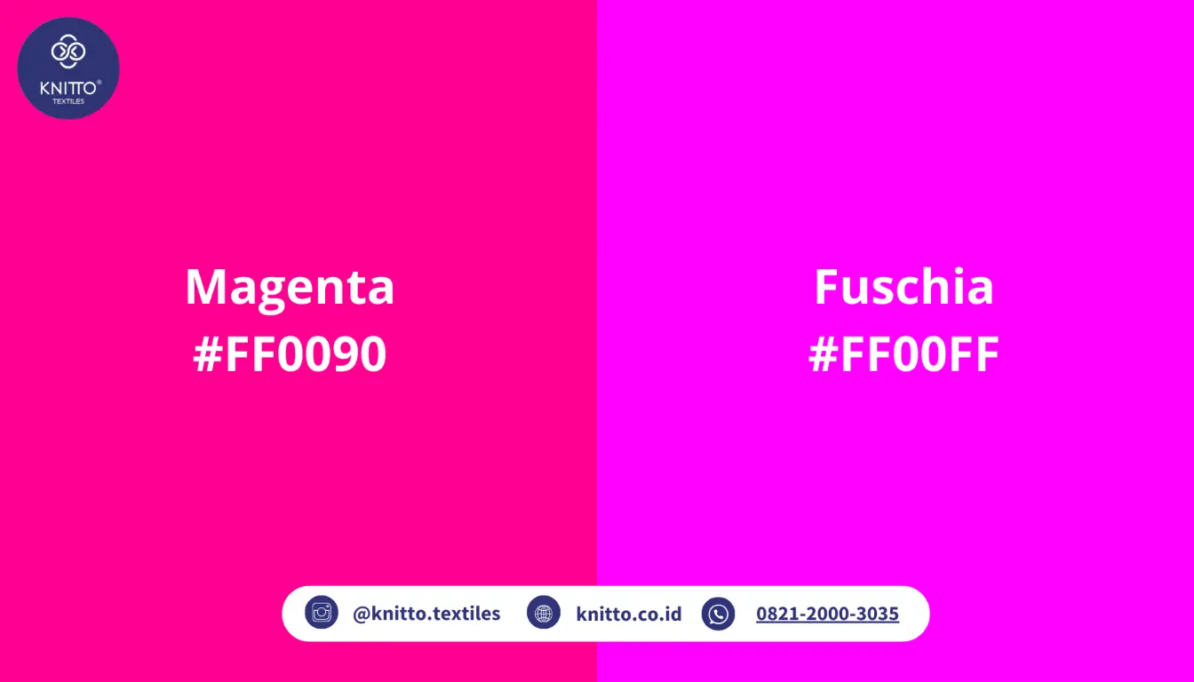 Ilustrasi Perbedaan Warna Magenta dan Fuschia