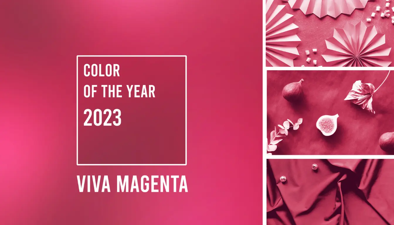 Ilustrasi Viva Magenta yang Pernah Menjadi Pantone Color of the Year 2023