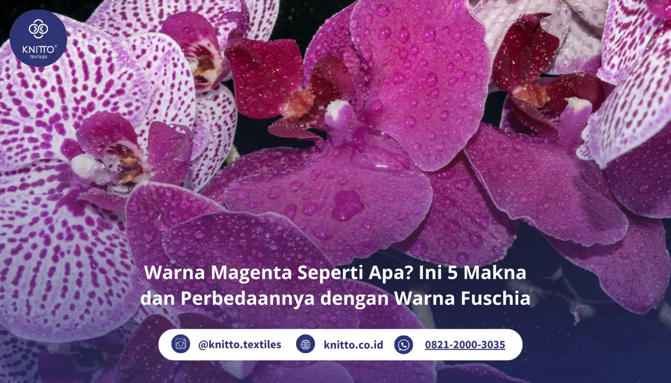 Warna Magenta Seperti Apa Ini Penjelasannya!