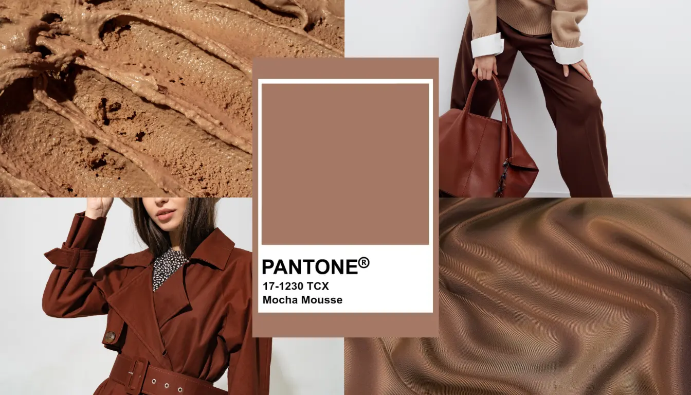 Warna Mocca Seperti Apa? Ini Contohnya!