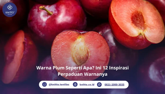 Warna Plum Seperti Apa