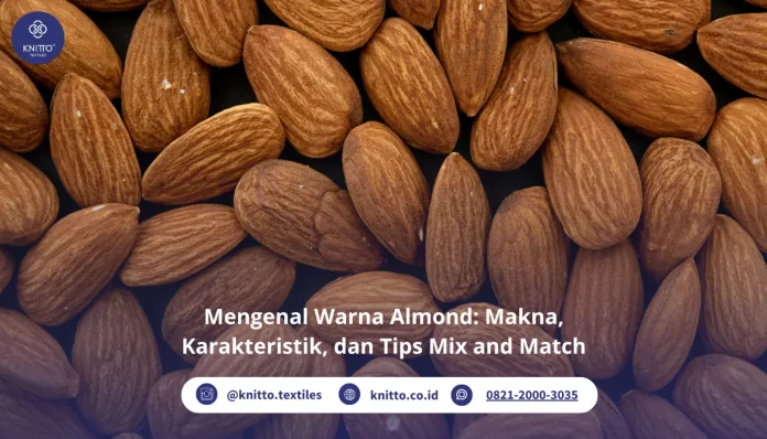 Mengenal Warna Almond Mengenal Warna Almond