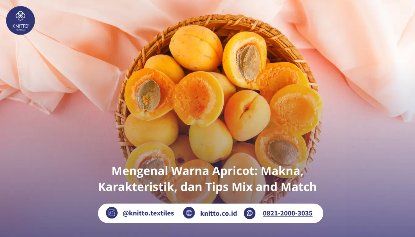 Mengenal Warna Apricot Mengenal Warna Apricot