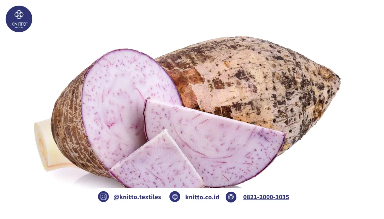 Sejarah Warna Taro Tanaman Taro (colocasia esculenta) Sejarah Warna Taro Tanaman Taro (colocasia esculenta)