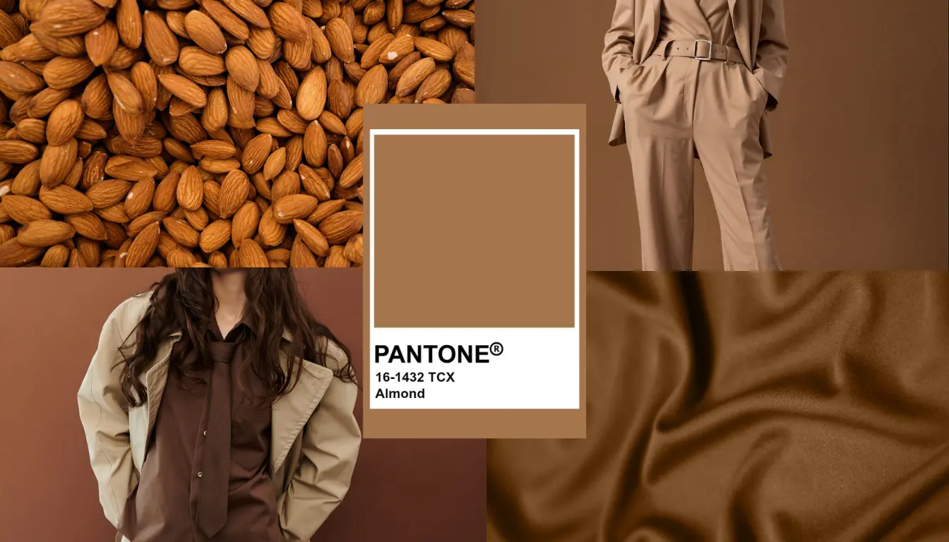 Warna Almond Seperti Apa? Simak Penjelasannya Warna Almond Seperti Apa? Simak Penjelasannya