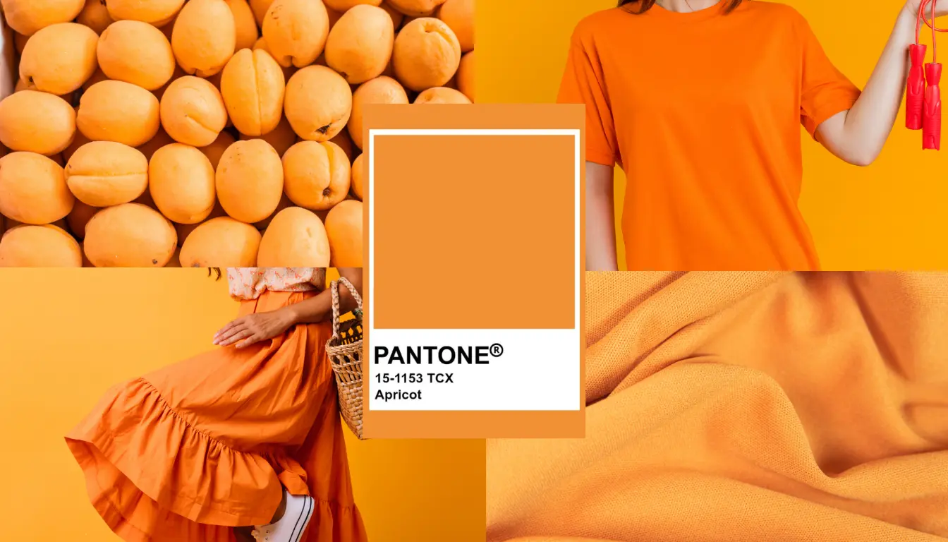 Warna Apricot Seperti Apa? Simak Penjelasannya Warna Apricot Seperti Apa? Simak Penjelasannya