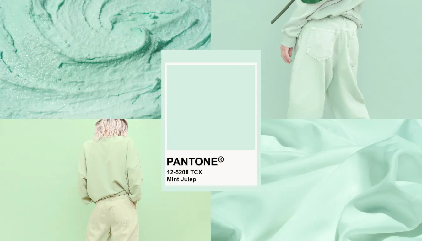 Warna Mint Seperti Apa Warna Mint Seperti Apa