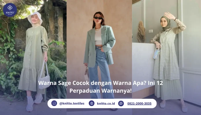 Warna Sage Cocok dengan Warna Apa Ini 12 Perpaduan Warnanya! Warna Sage Cocok dengan Warna Apa? Ini 12 Perpaduan Warnanya!