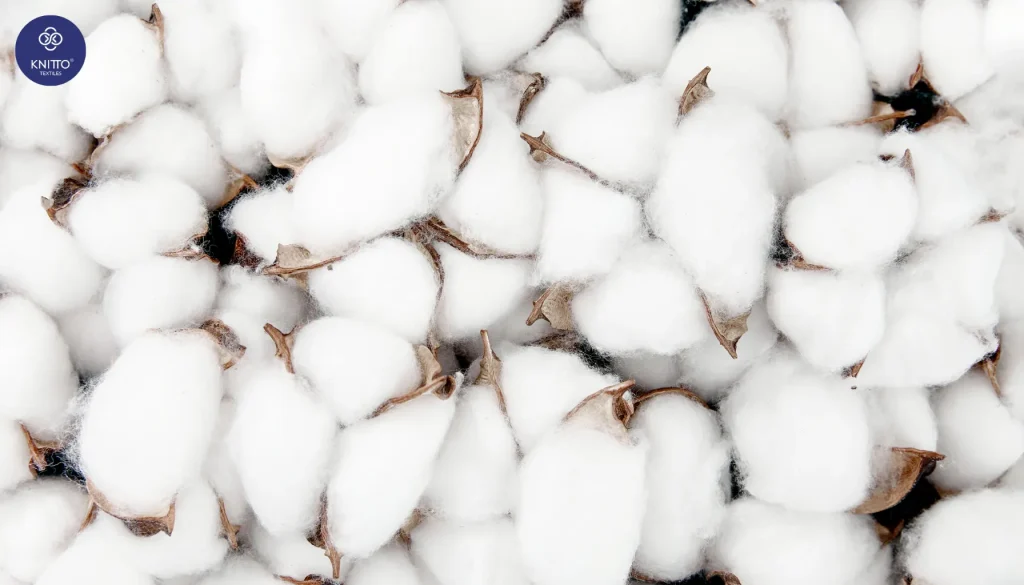 Cotton Combed Terbuat dari Serat Kapan